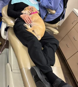 Person lying on dental chair wearing protective bib during oral examination or treatment.